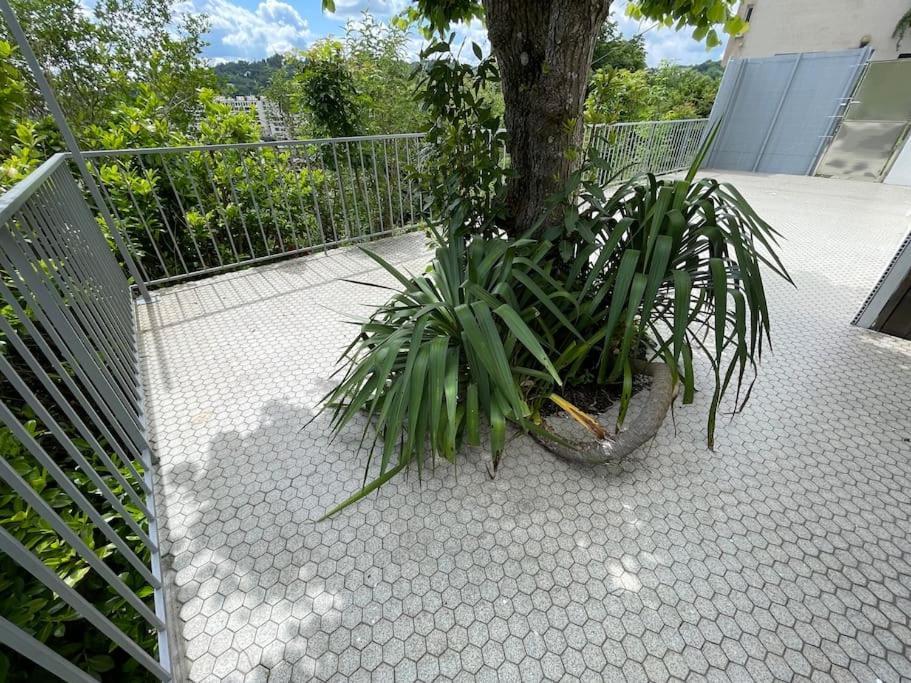 Paisible Eden Standing Terrasse - Magnifique Vue - Esprit Nature En Pleine Ville Tulle Exterior foto