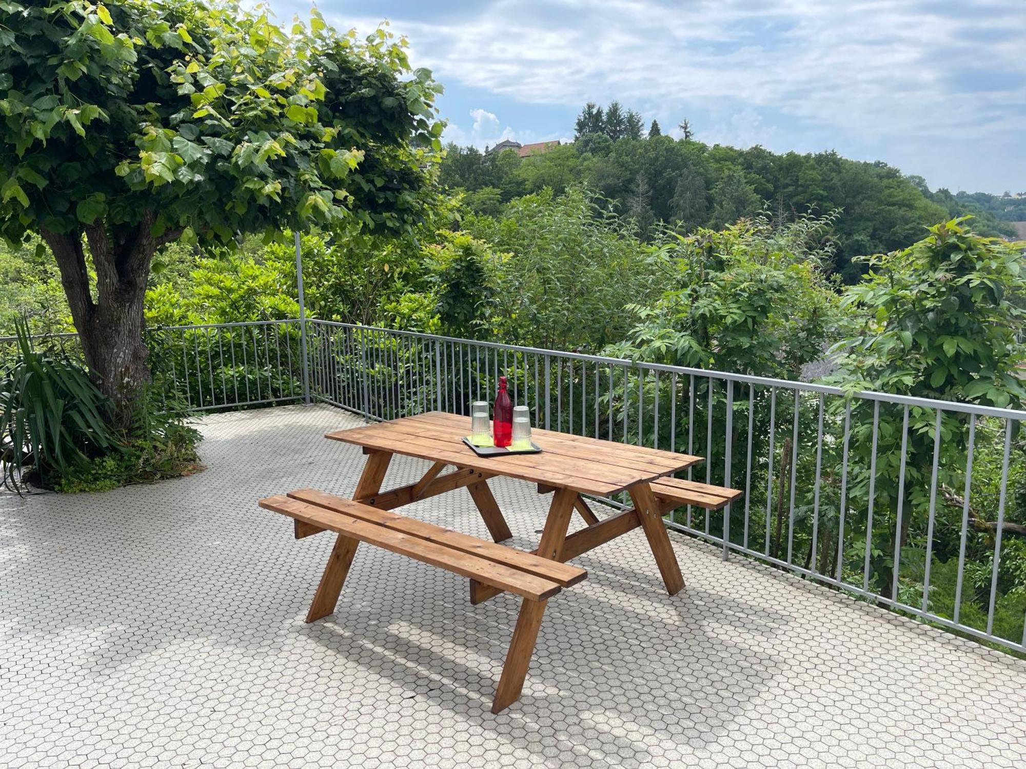 Paisible Eden Standing Terrasse - Magnifique Vue - Esprit Nature En Pleine Ville Tulle Exterior foto